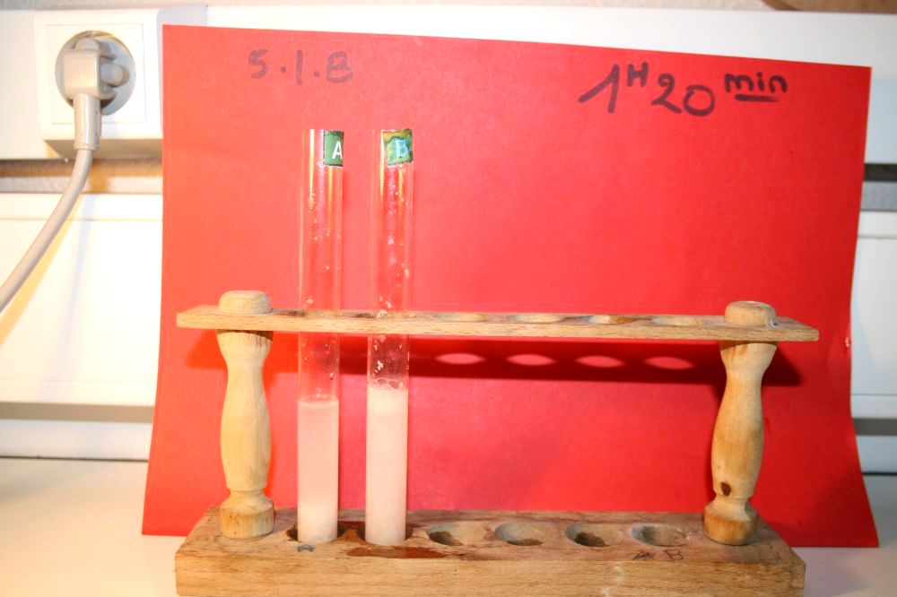 gal/LES_CINQUIEMES/ACTIVITE DIGESTION IN VITRO/Groupe_03/Groupe03_t_01h20min/Groupe03_temps01H20min_19.jpg